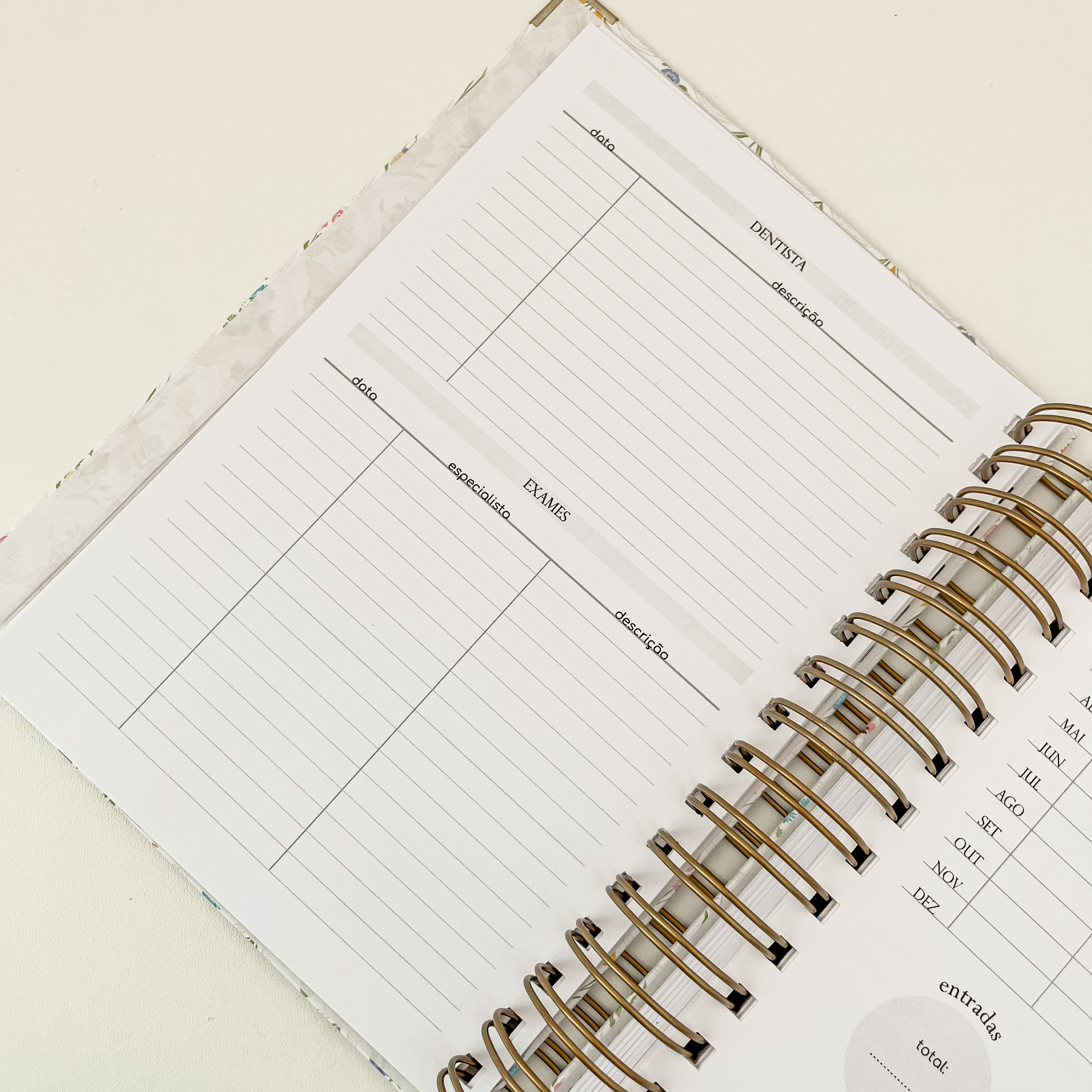 Controle de saúde 1